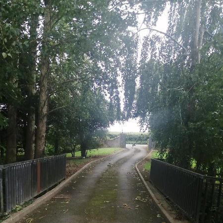 Delphi Lodge Donaghmore  المظهر الخارجي الصورة