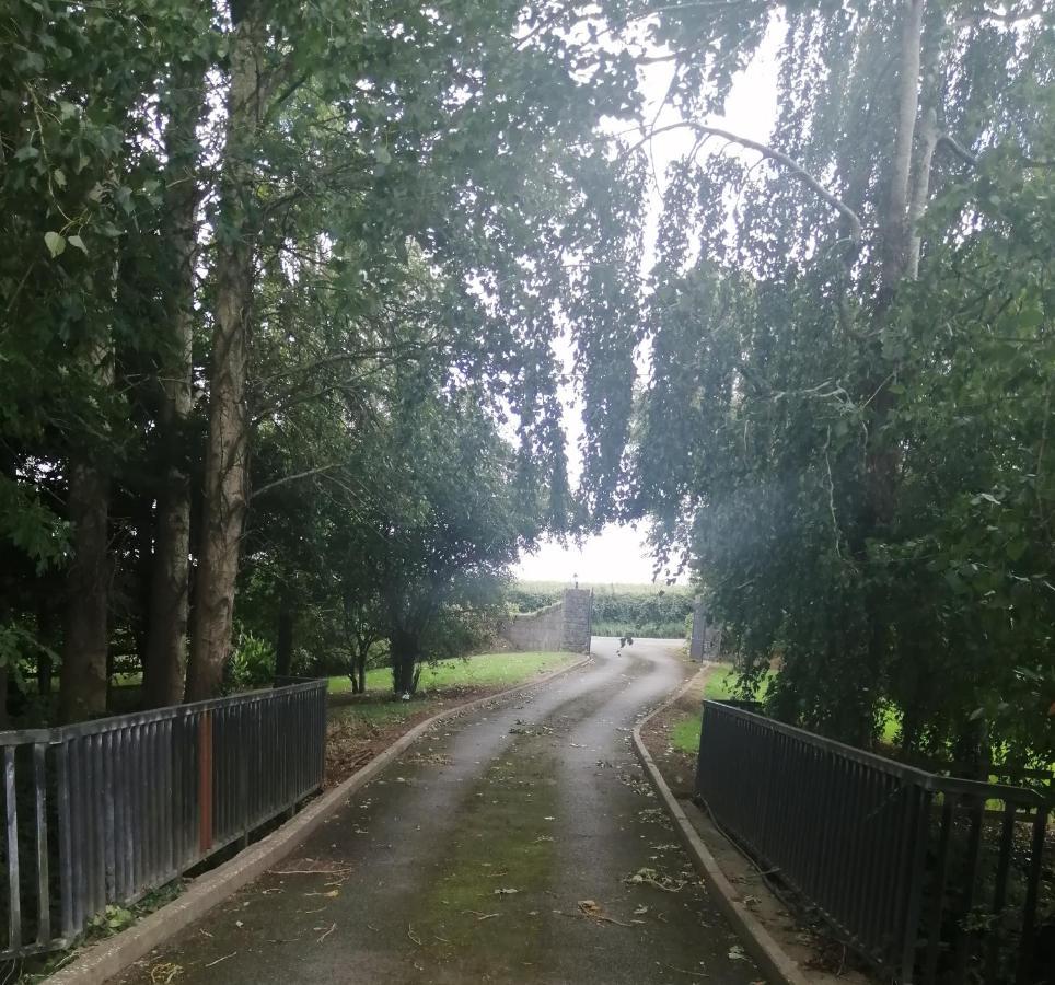Delphi Lodge Donaghmore  المظهر الخارجي الصورة